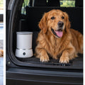 PAWSWASH™ Automatic Paw Cleaner